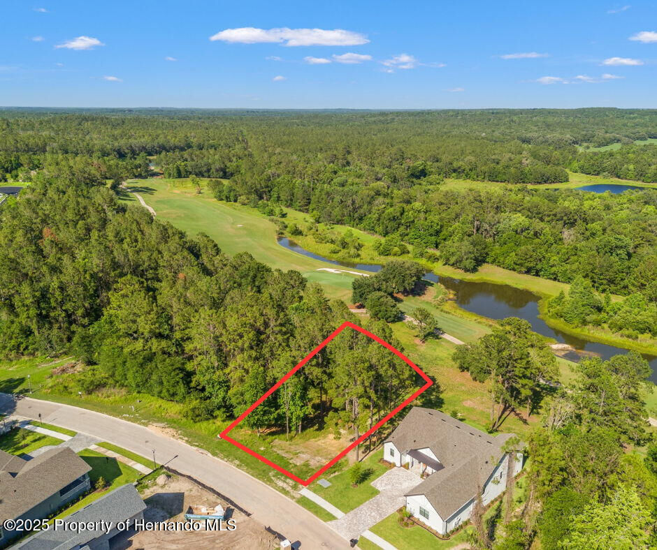 Property Photo:  3925 Southern Valley Loop  FL 34601 