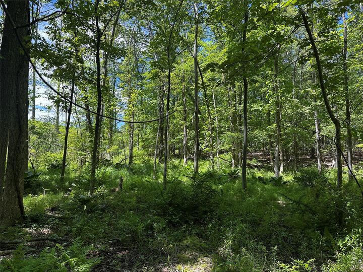 Property Photo: Rye Hill Road NY 10950
