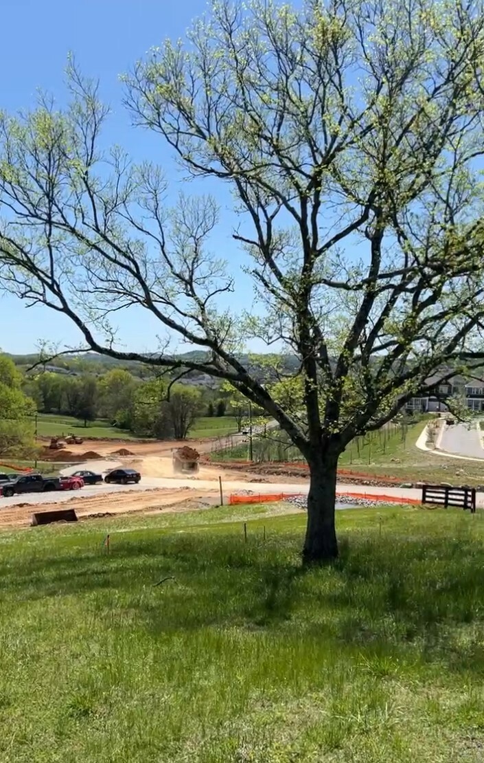 Property Photo:  0 S Carothers Road  TN 37064 