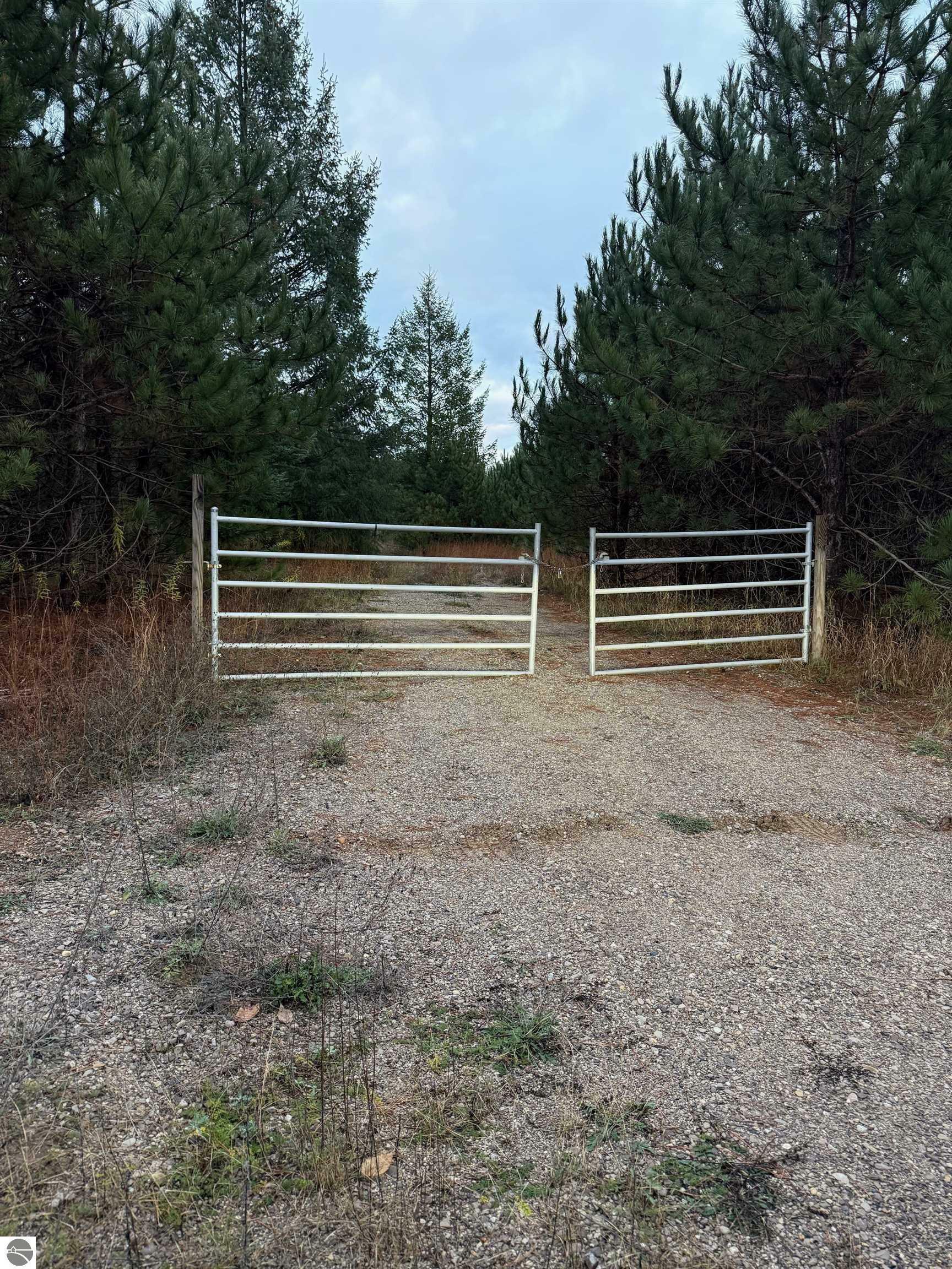 Property Photo: 11277 Summit City Road MI 49649