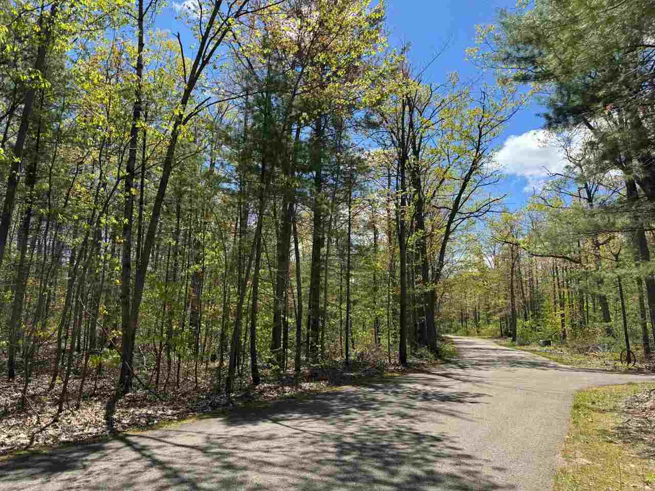 Property Photo: Tbd Eastridge MI 49735