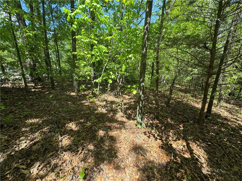 Property Photo: 000 County Road 3216 AR 72830