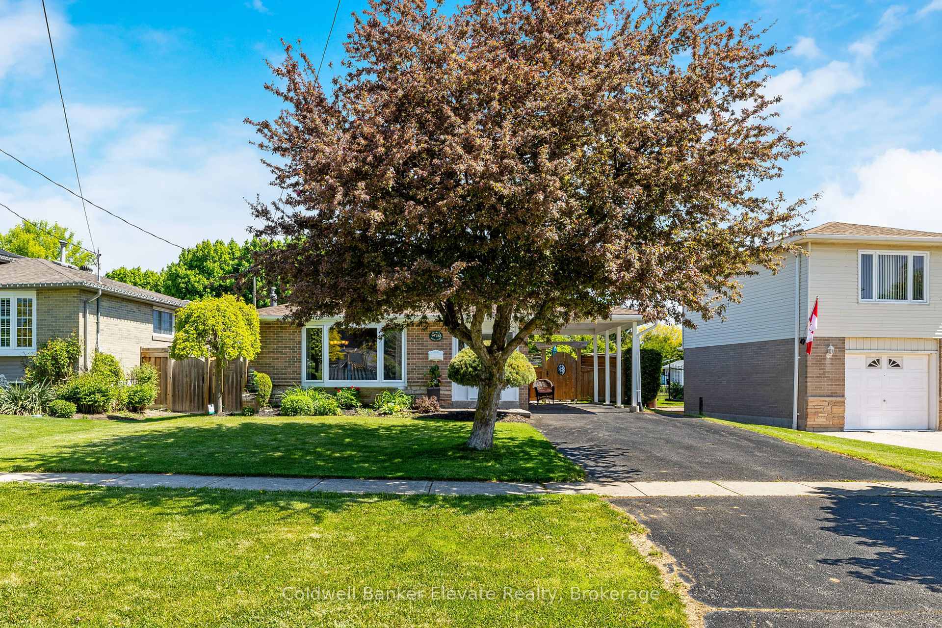 Property Photo:  183 Delrex Boulevard  ON L7G 4E4 
