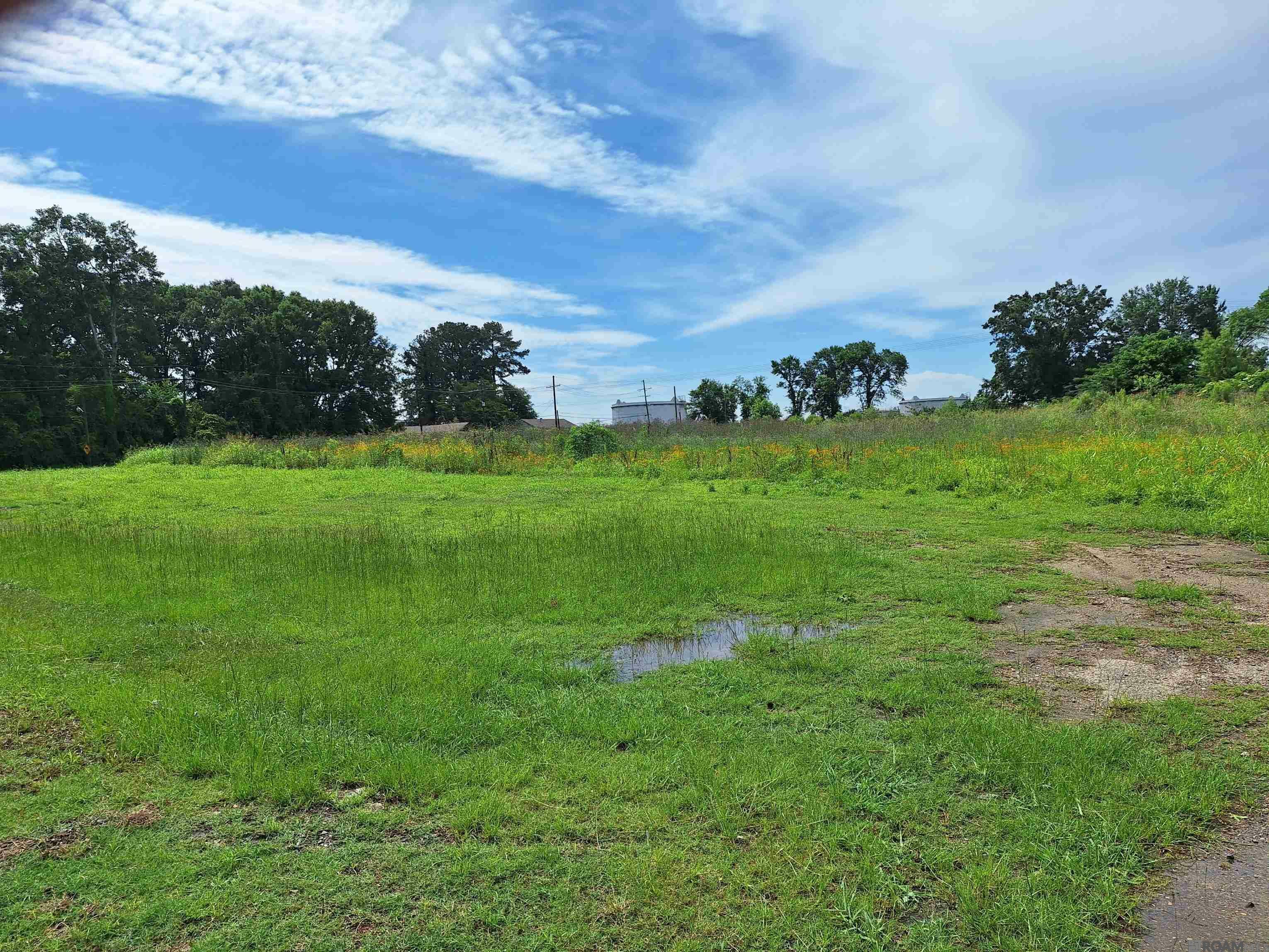 Property Photo:  2454 Gore Rd  LA 70807 