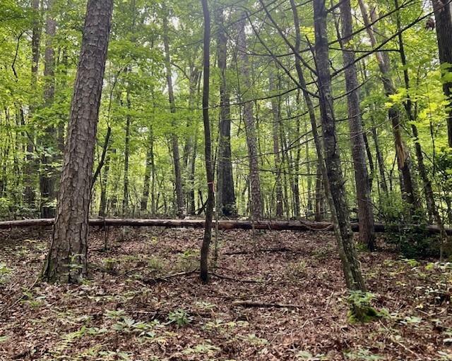 Property Photo: 0 Mountain View Lane GA 30555
