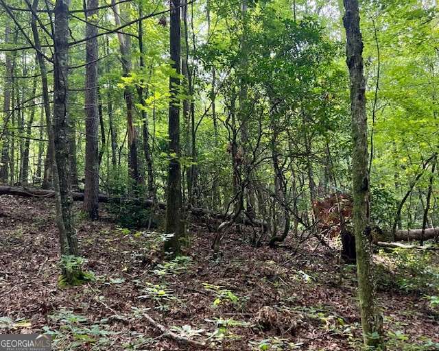 Property Photo: 0 Mountain View Lane GA 30555
