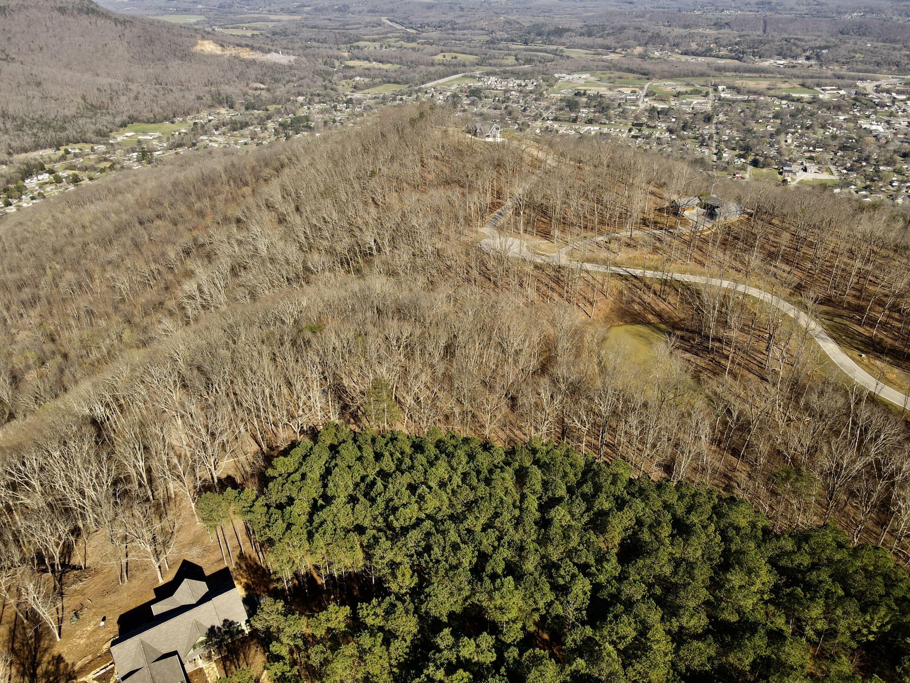 Property Photo: 80 High Point Lane TN 37347