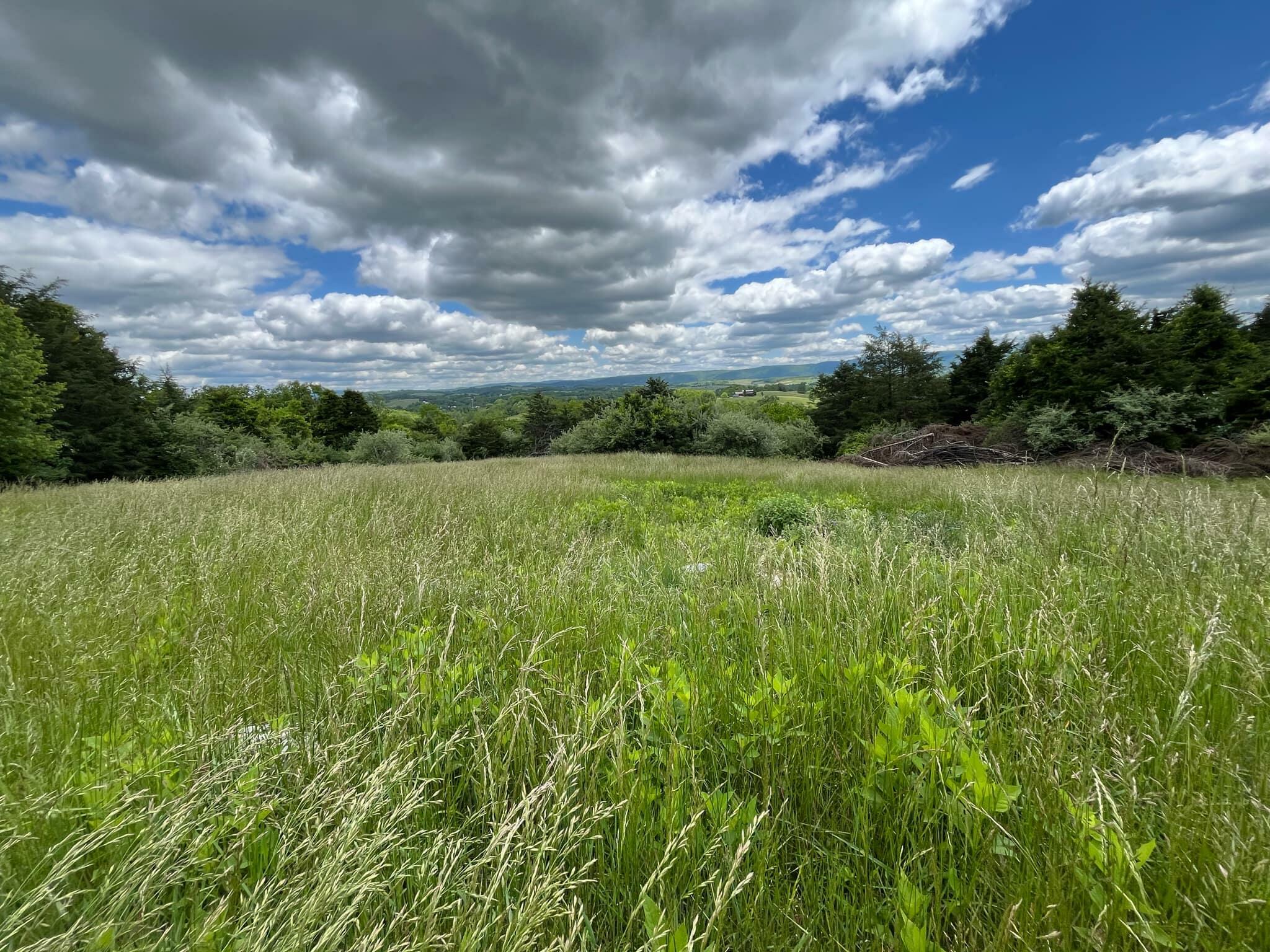 Property Photo: Sunrise Lane WV 24983