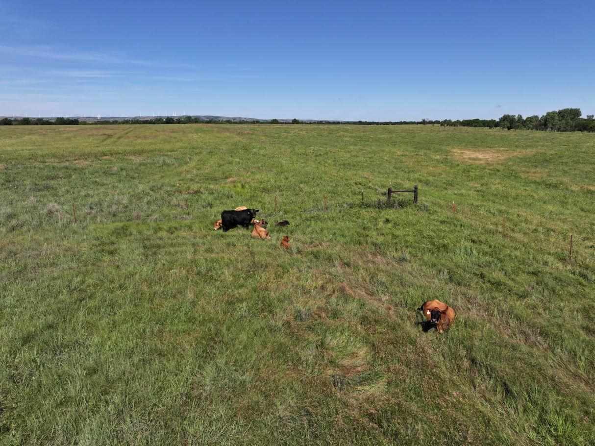 Property Photo: Tbd NE King Rd OK 73006