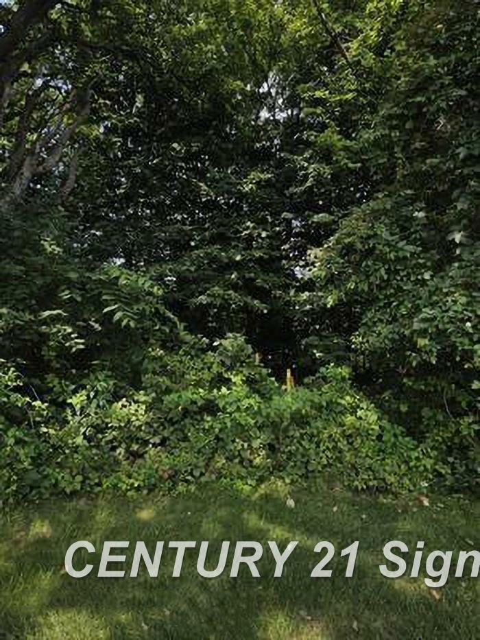 Property Photo: 0 Sawmill Boulevard MI 48603