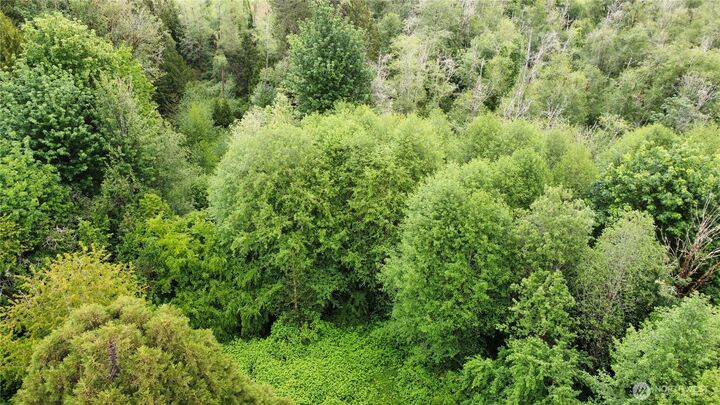 Property Photo:  10379  Bethel Burley Road SE  WA 98367 