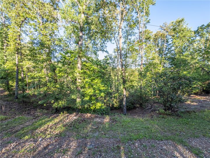 Property Photo:  Lot 21 Old Shallowford Bridge Road  SC 29685 