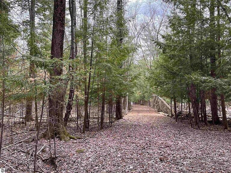 Property Photo: Vl Briar Lane MI 49615