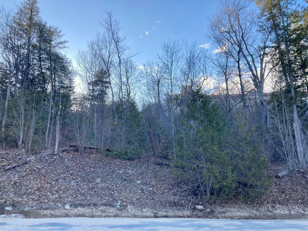 Property Photo:  01 Woodcliff Drive  NY 12901 