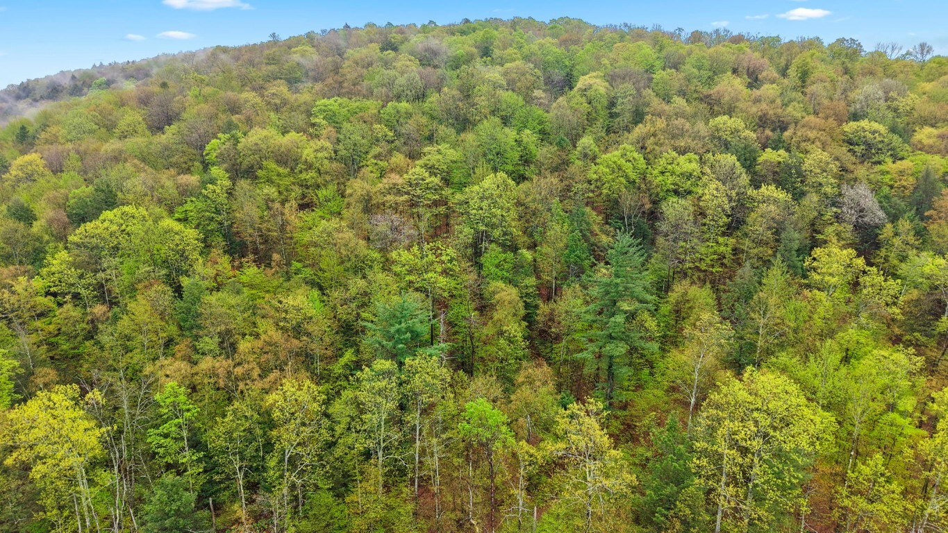 Property Photo: 0 Phillips Road NY 13865