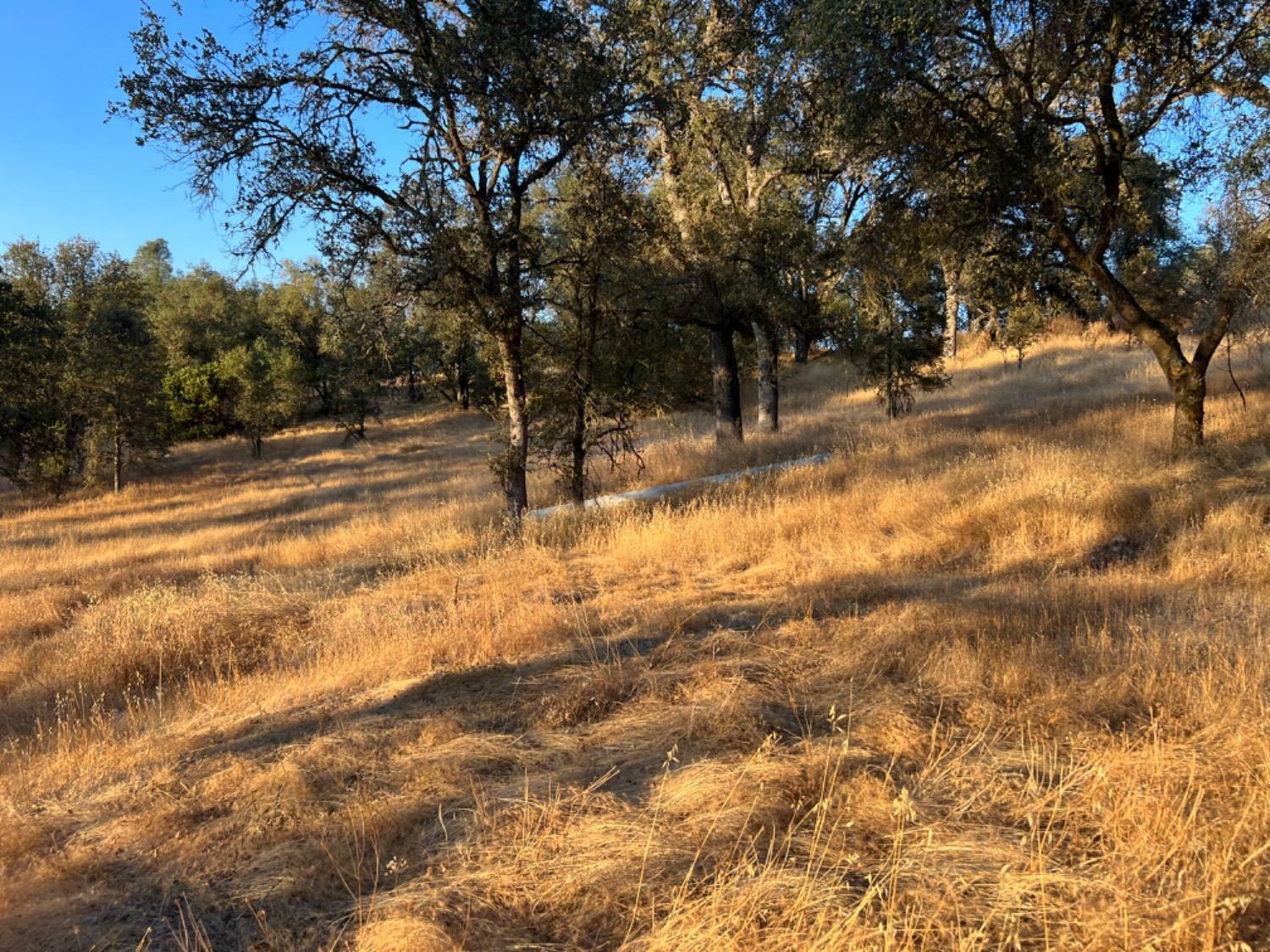 Property Photo: 3906 Highway 49 CA 95245