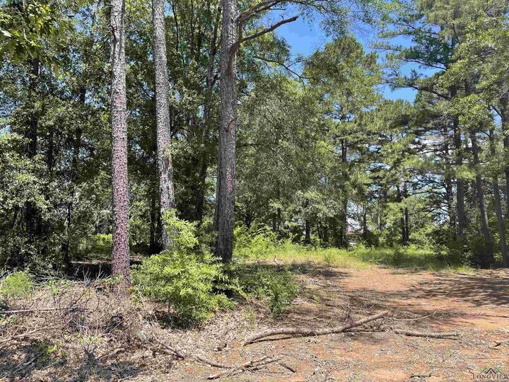 Tbd Fm 1970  Carthage TX 75633 photo