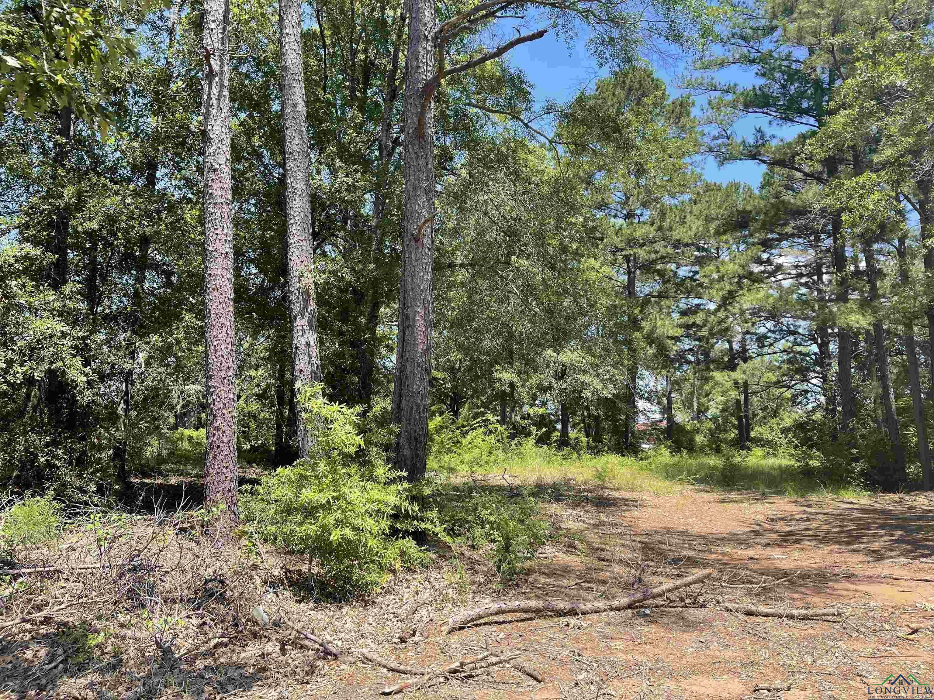 Property Photo: Tbd Fm 1970 TX 75633