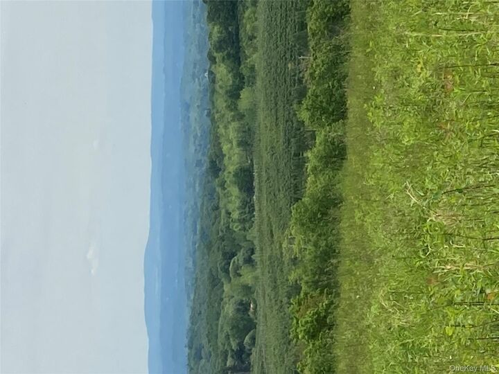 73 Peach Lane  Marlboro NY 12515 photo