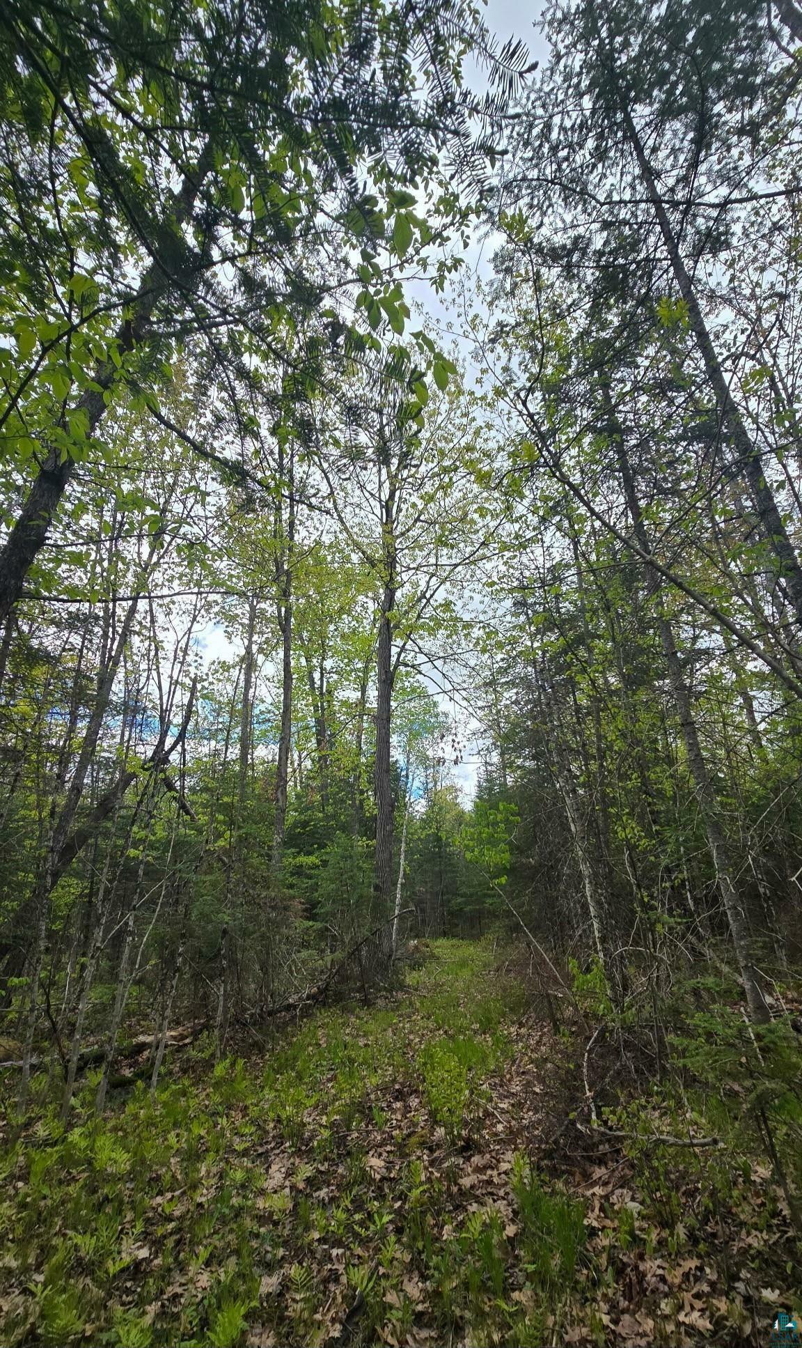 Property Photo: 9790 S State Hwy 35 WI 54836