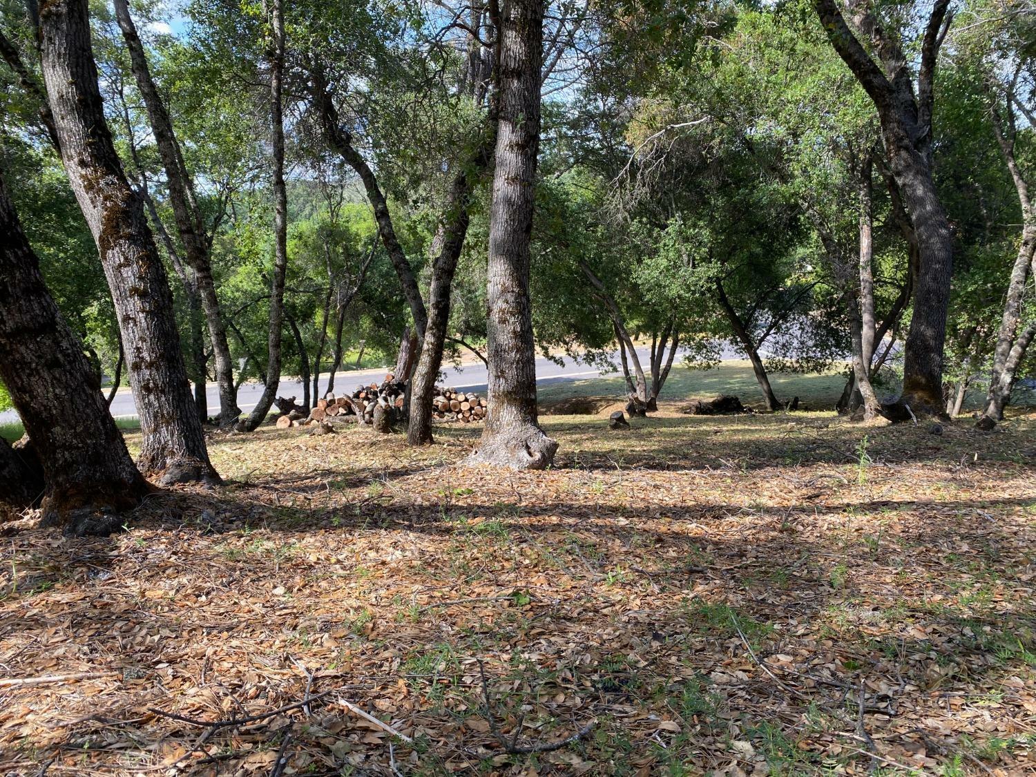 Property Photo: 315 Mill Court CA 95222