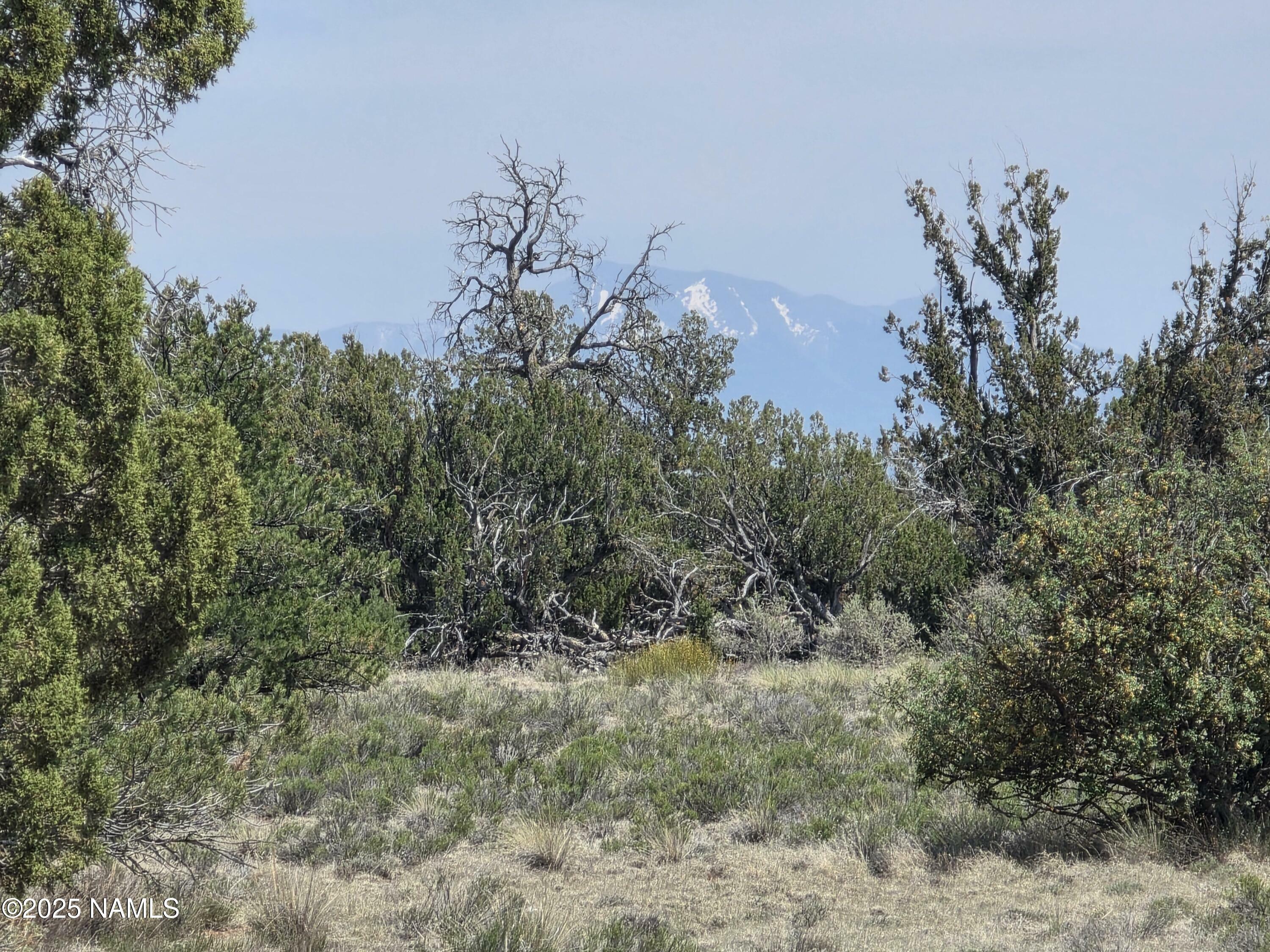 Property Photo:  913 S Kaibab Road  AZ 86046 