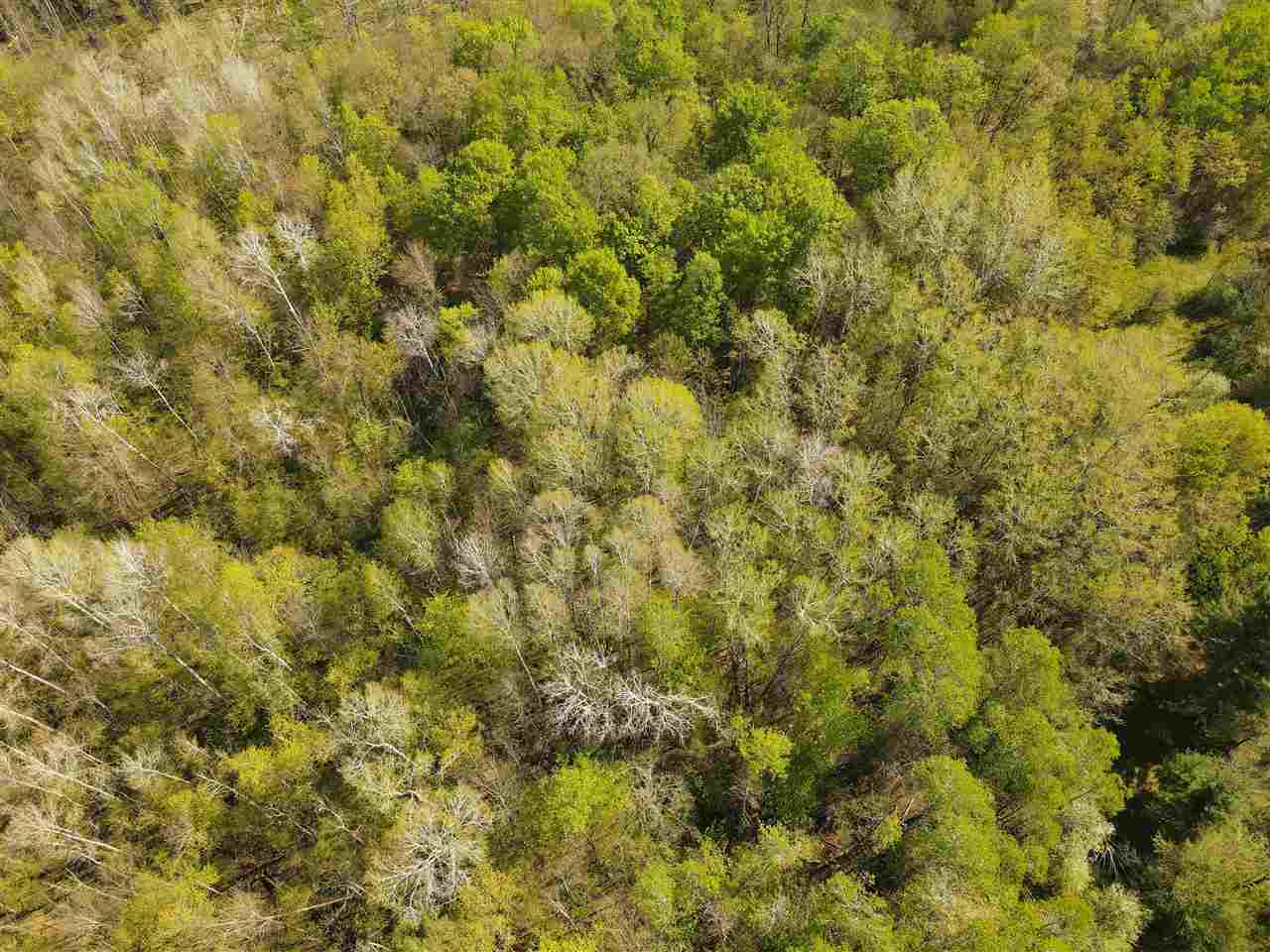 Property Photo: Tbd Mt. Bliss MI 49727