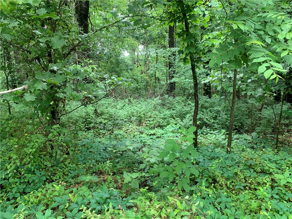 Property Photo: Lot 14 Millsap Circle AR 72715
