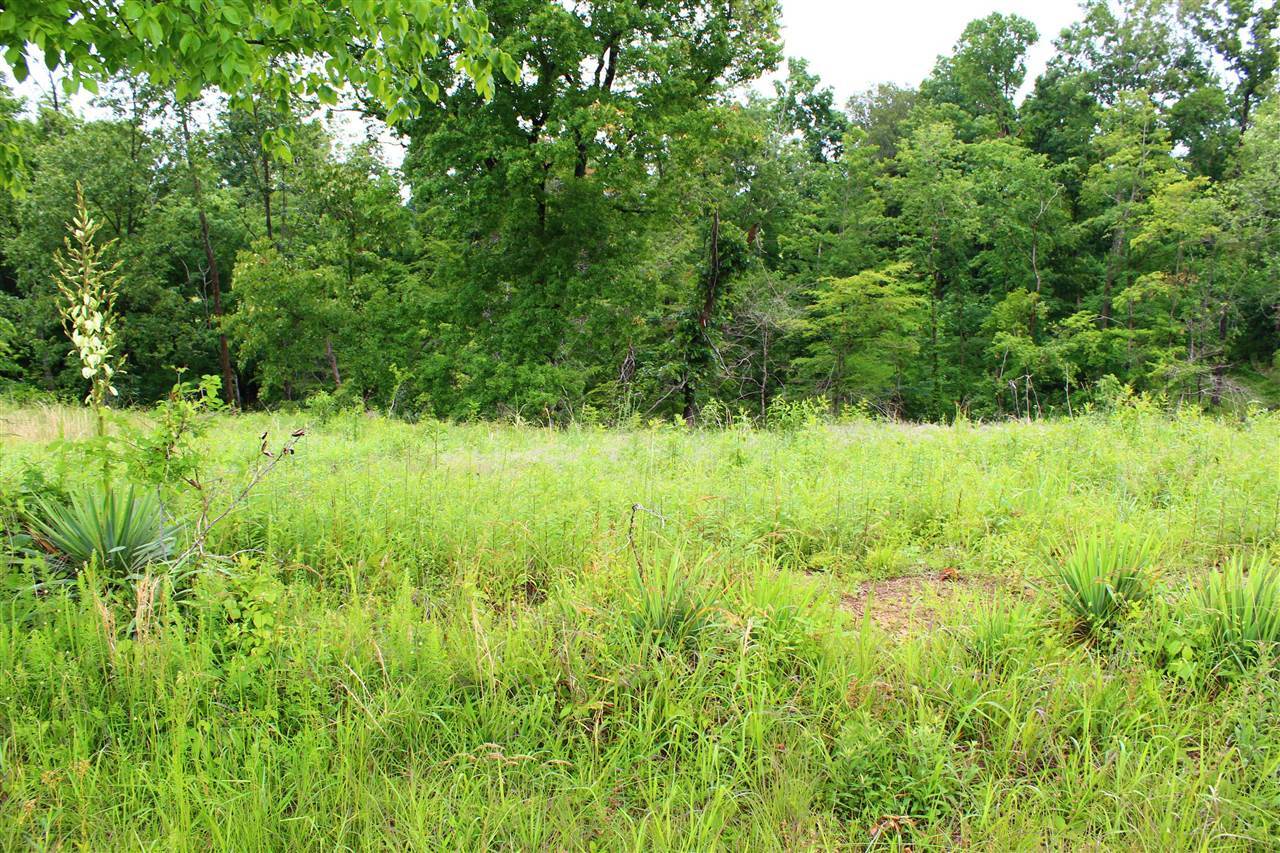 Property Photo: 3B Halifax Bailey Road KY 42164