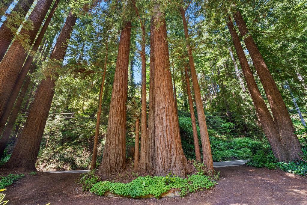 Property Photo: 3920 Porter Gulch Road CA 95003