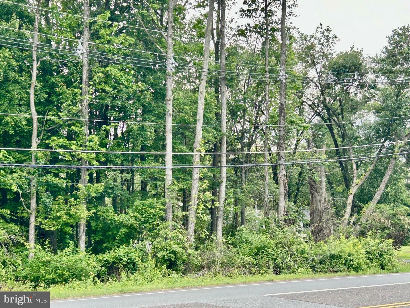 Property Photo: 85 Carter Road NJ 08540