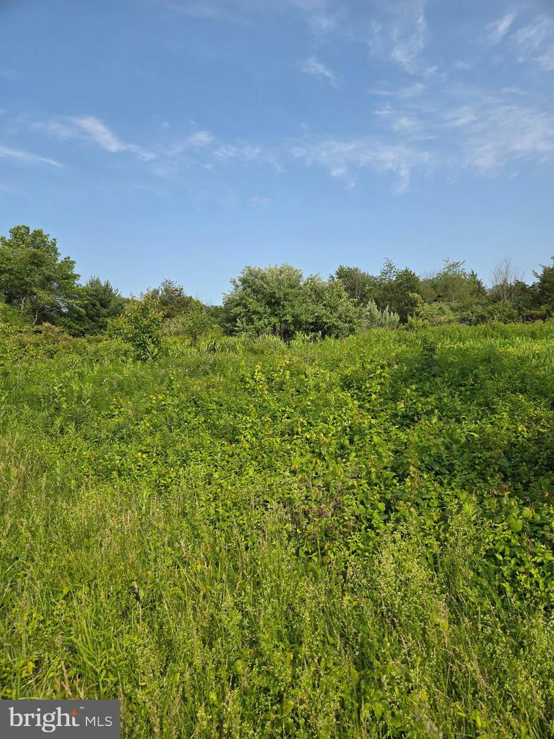 Property Photo: 0 Industrial Parkway PA 19464