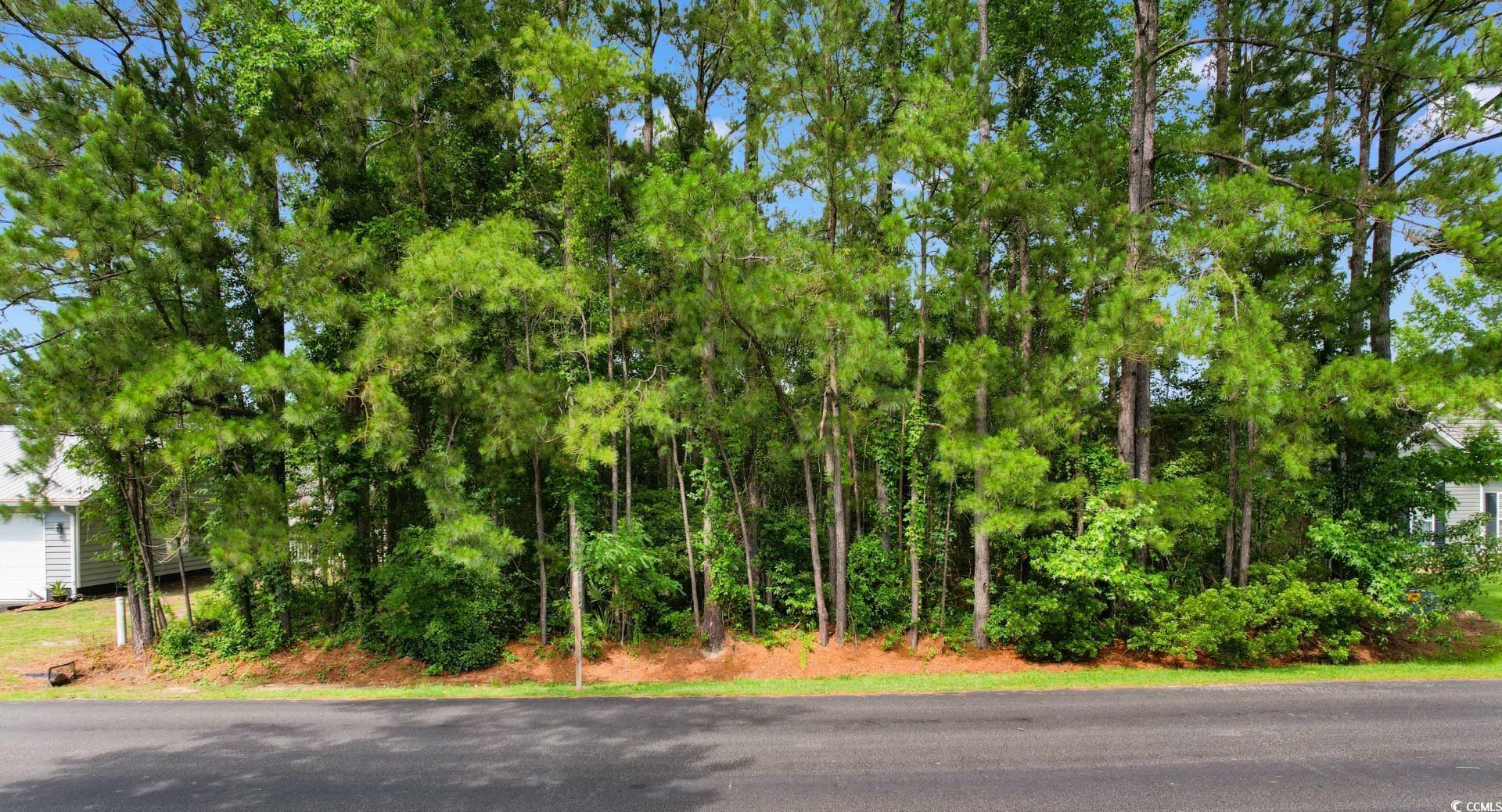 Property Photo: 2281 Seaford Dr. SC 29568