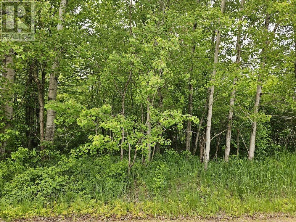 Property Photo:  187 Lake St, Vacant Land Yet To Be Severed  ON P0S 1C0 