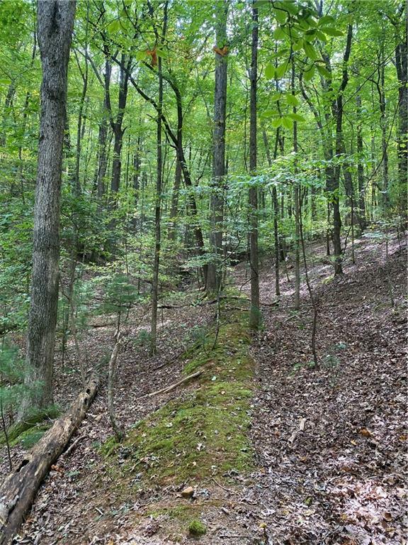 Property Photo: 0 Valley View Road GA 30536