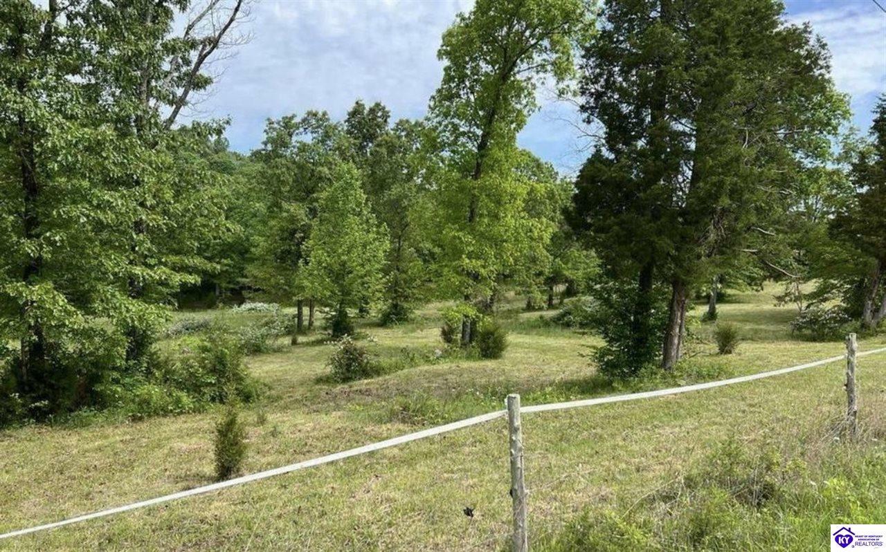 Property Photo: Lot 2 Constantine Road KY 42724