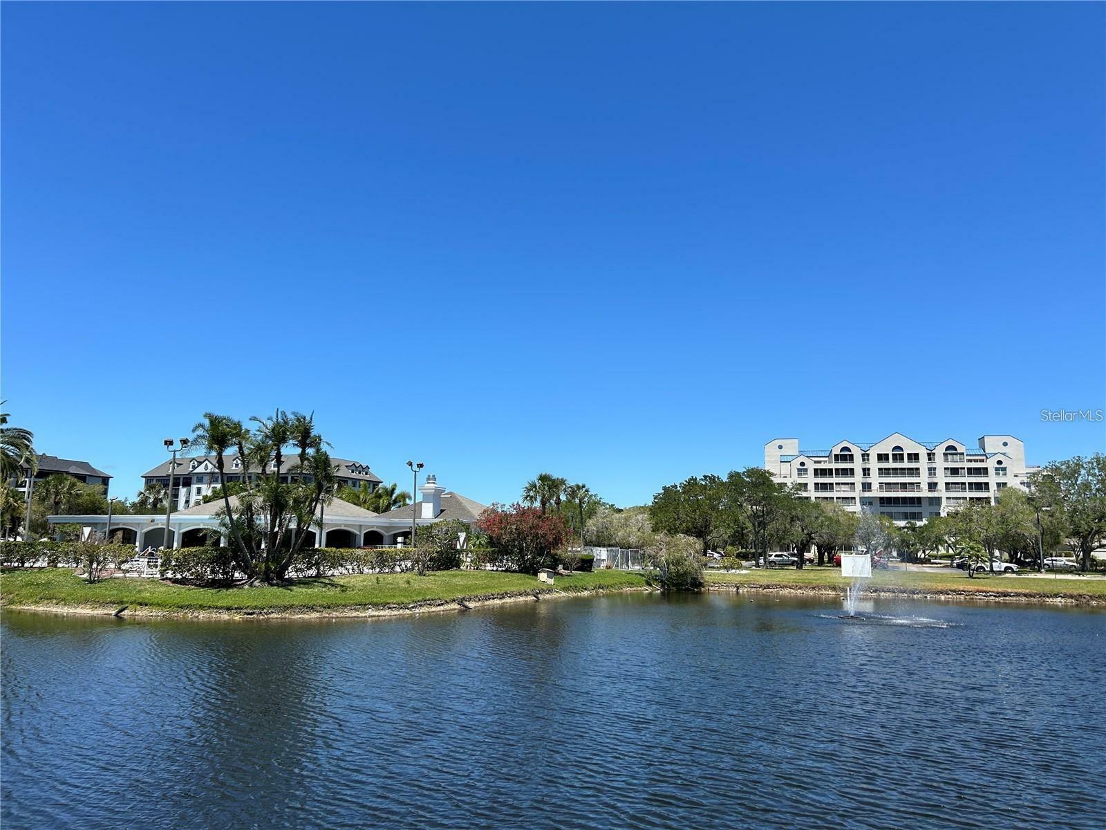Property Photo: 2333 Feather Sound Drive A301 FL 33762