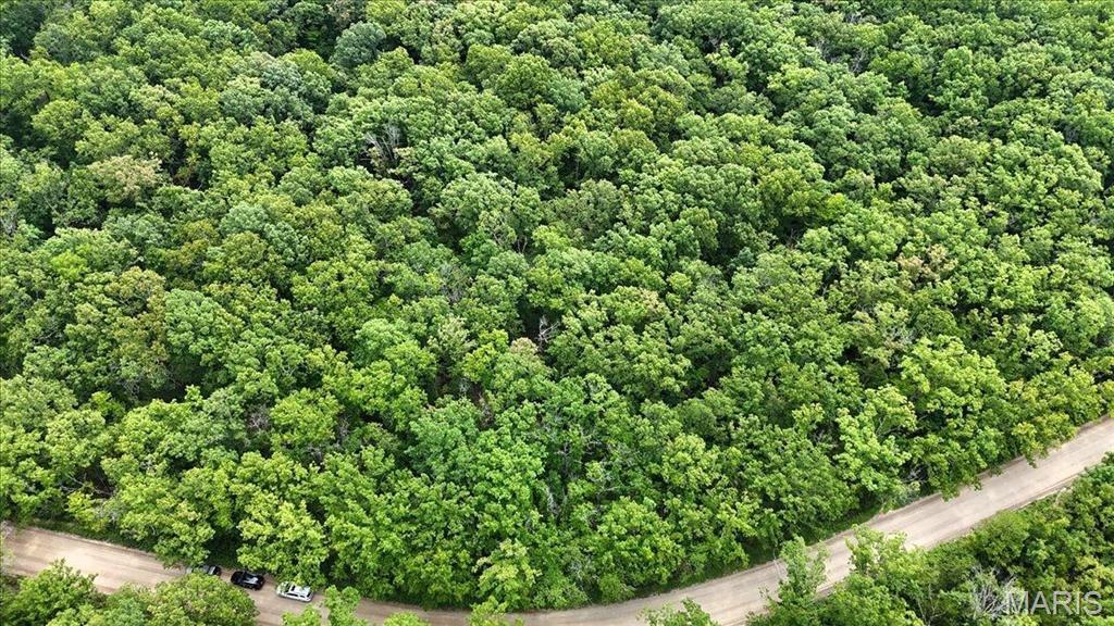 Property Photo: 0 Hamilton Hollow Road MO 63080