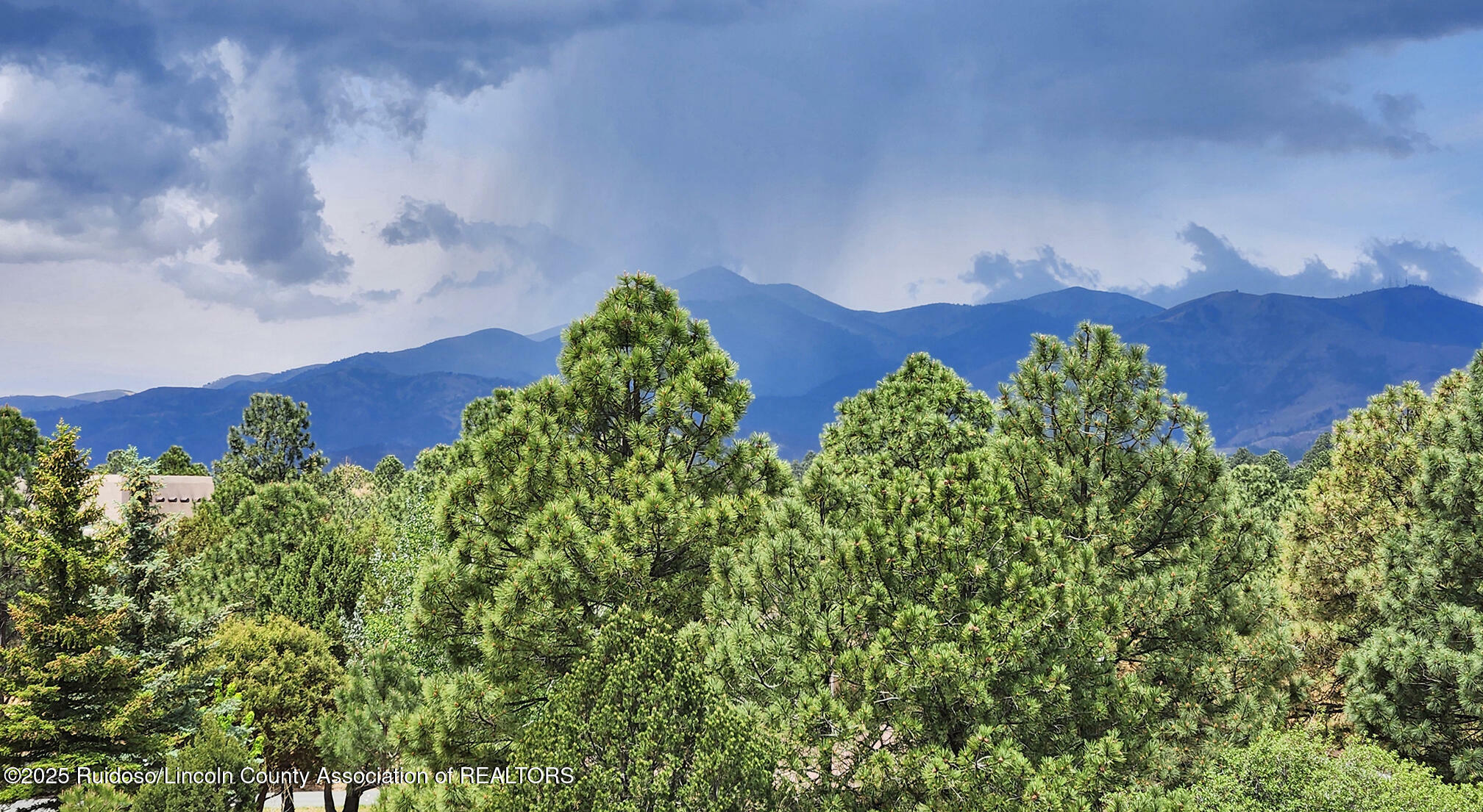 Property Photo: 175 Eagle Ridge Road NM 88312