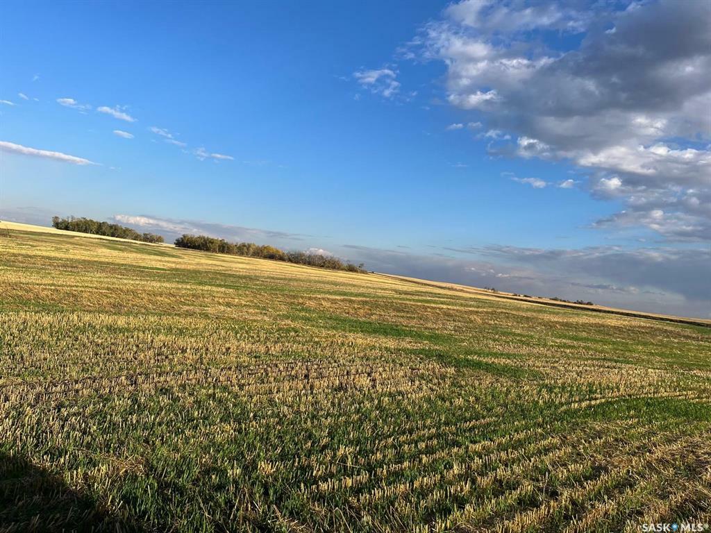 Property Photo:  Rural Address  SK S0K 0Z0 