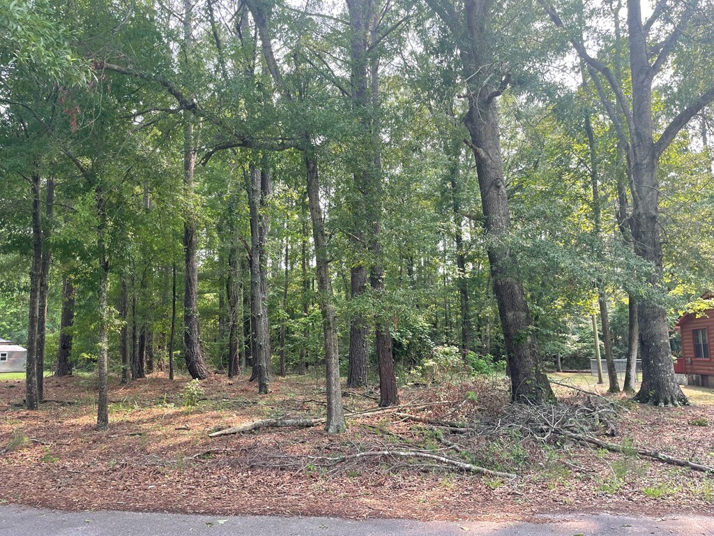 Property Photo:  Gin Pond Dr.  SC 29048 