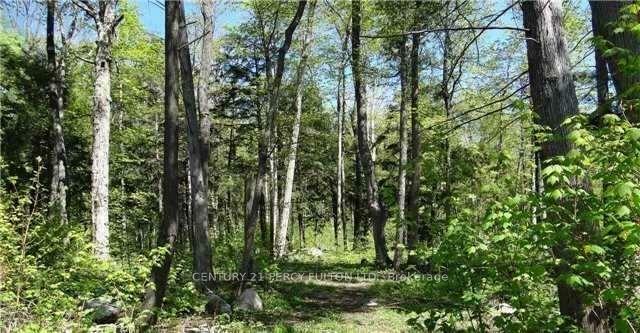 Photo de la propriété:  126 Nippissing Ridge Road  ON L9M 0H6 