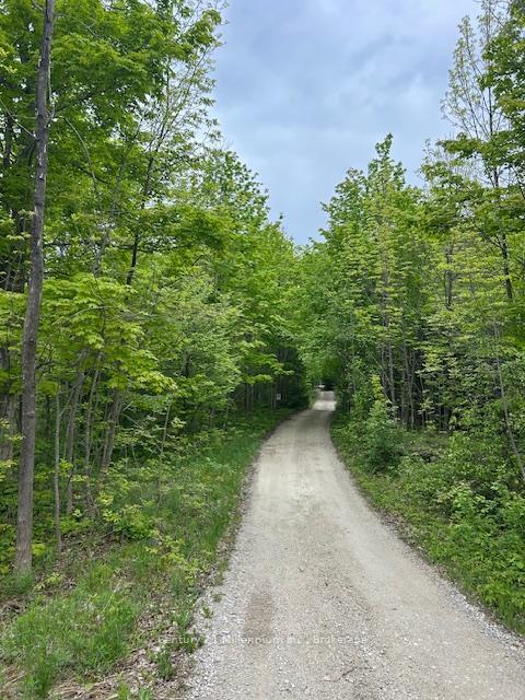 Photo de la propriété: 204495 Highway 26 N/A ON N4K 5W4