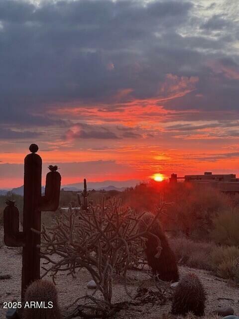 Property Photo:  36674 N Vasari Drive  AZ 85262 