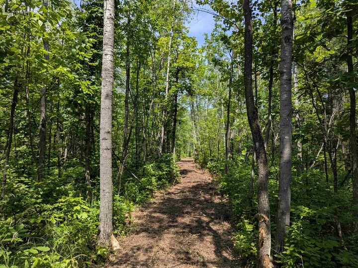 Property Photo: 67 Acres On County Hwy A WI 54847