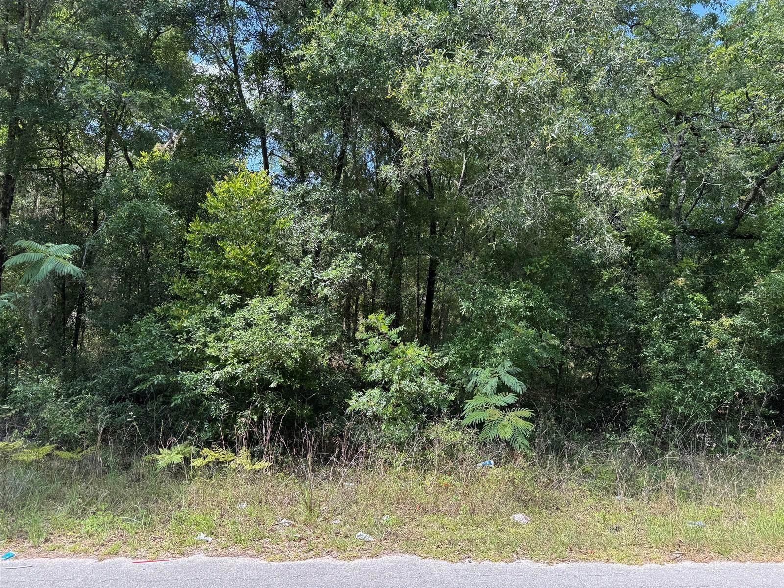 Property Photo: 00 NE 5th Street FL 32696