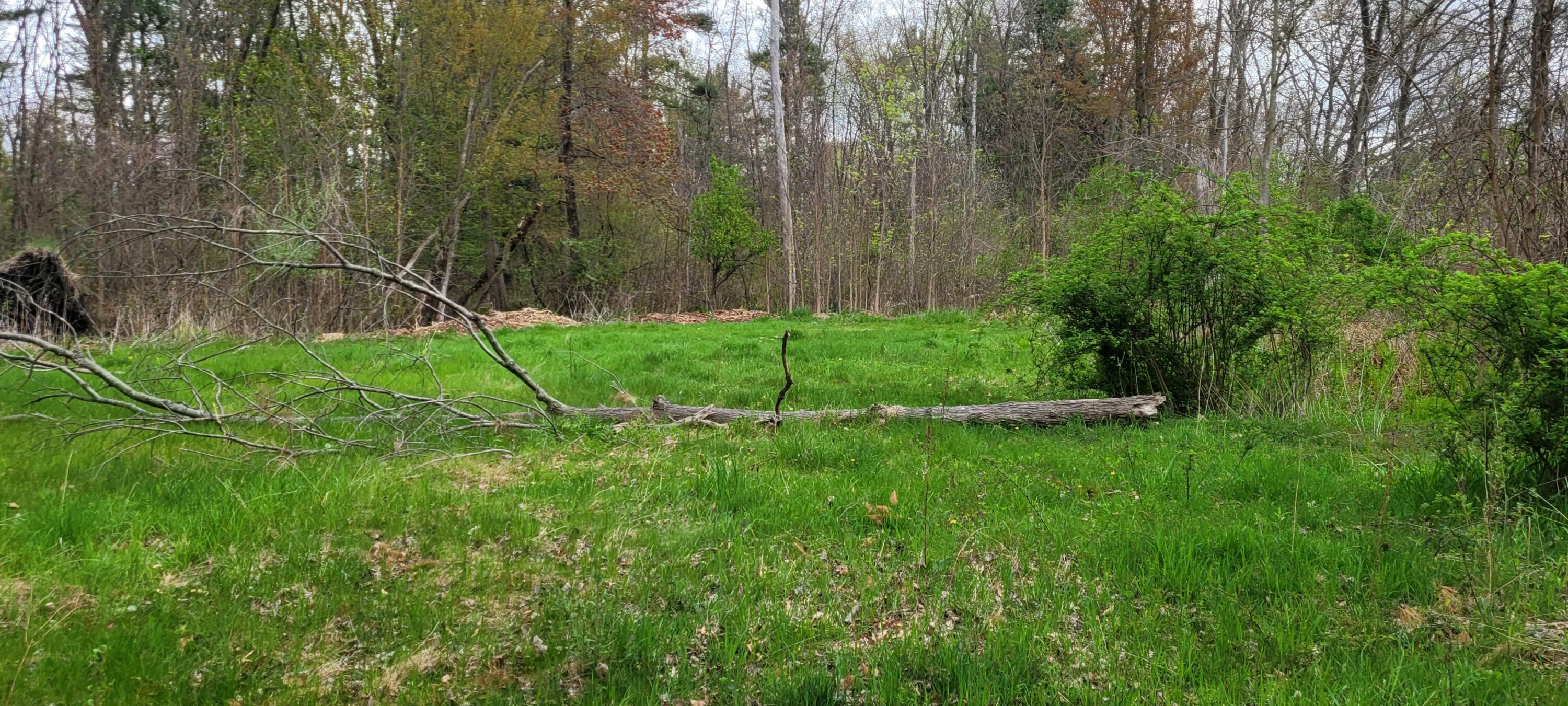 Property Photo: V/L Harbor Drive MI 49449