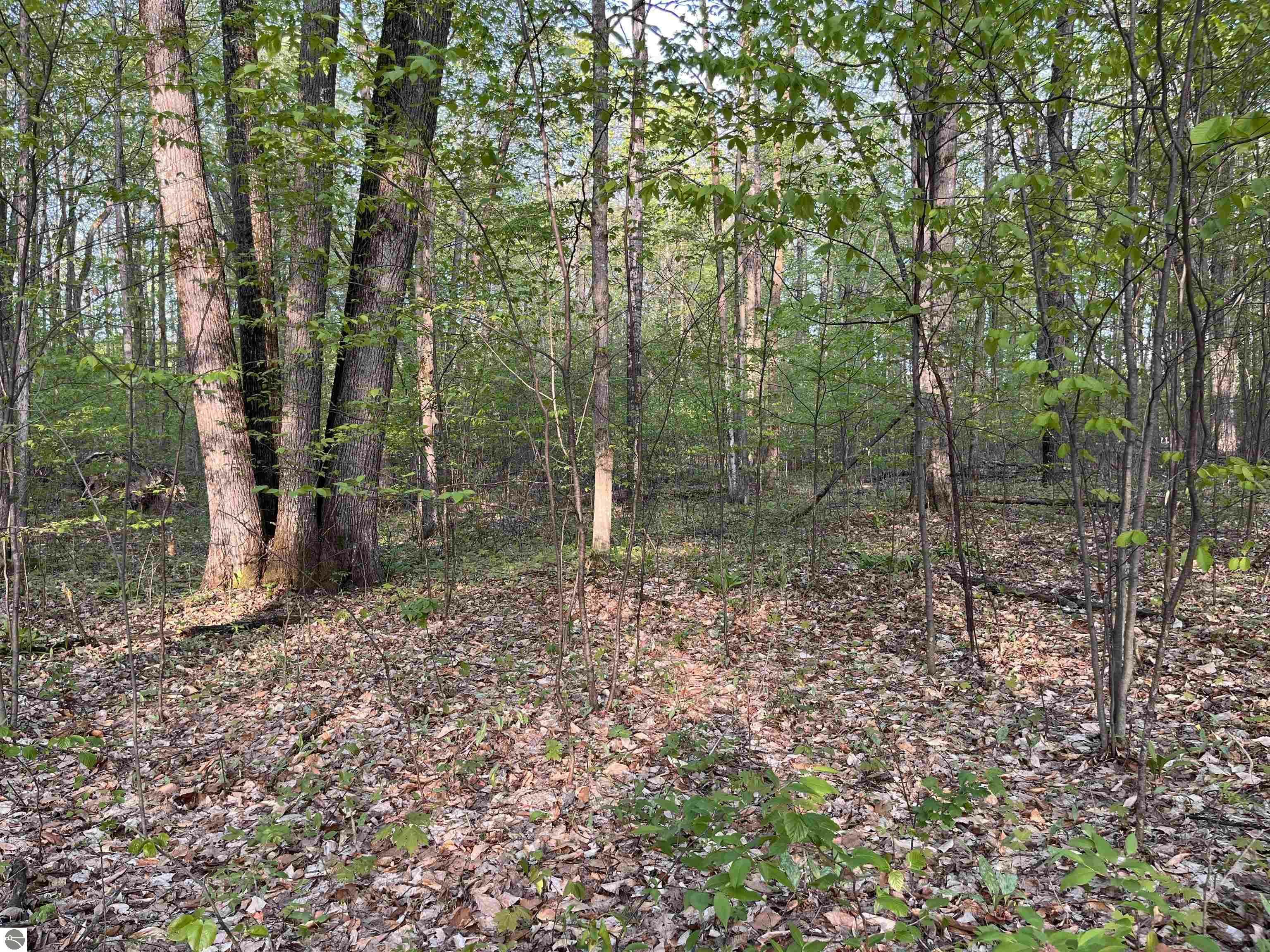 Property Photo: 000 Par-King Drive MI 49615