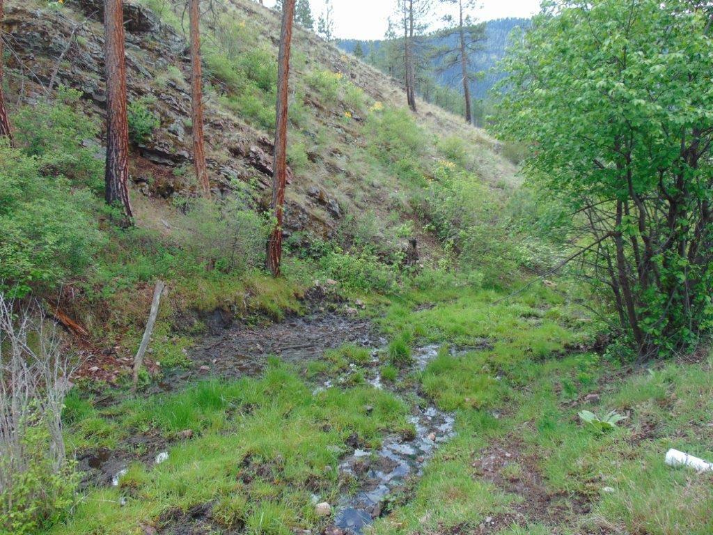 Property Photo:  27235 Lazy Springs Road  MT 59825 