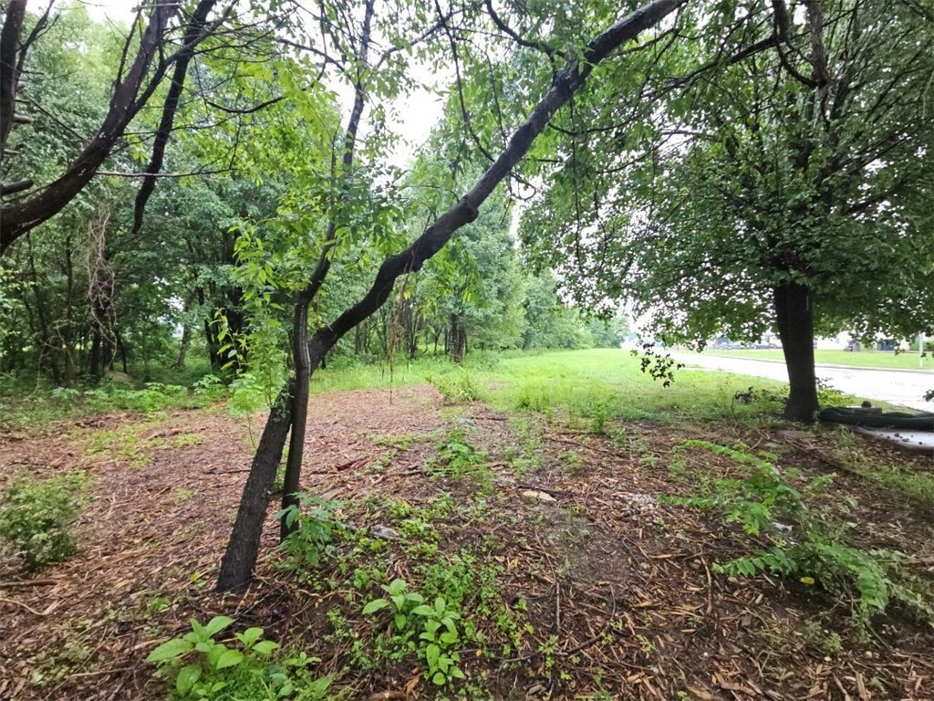 Property Photo: Tbd W Dyke Road AR 72758